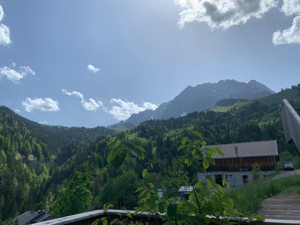 Terrasse Sur Les Aravis Apartment ลา เจียตตาซ์ ภายนอก รูปภาพ